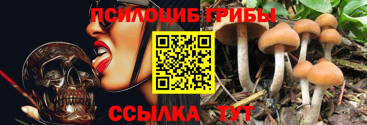 Псилоцибиновые грибы GOLDEN TEACHER Заинск